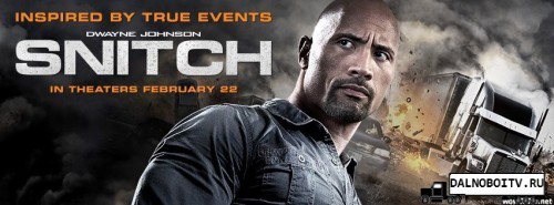 Snitch 2013 poster
